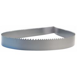 BAND SAW BLADE,14 FT. 10" L,TH ICK 0.035"